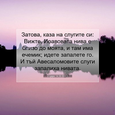 Picture 07 - 2 Царе 14:30 BULG - Затова, каза на слугите си: - Bible Verse Picture