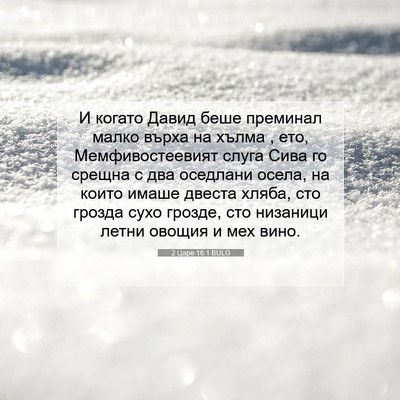 Picture 07 - 2 Царе 16:1 BULG - И когато Давид беше - Bible Verse Picture