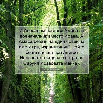 Picture 07 - 2 Царе 17:25 BULG - И Авесалом постави Амаса - Bible Verse Picture