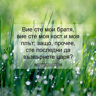 Picture 07 - 2 Царе 19:12 BULG - Вие сте мои братя, вие сте - Bible Verse Picture