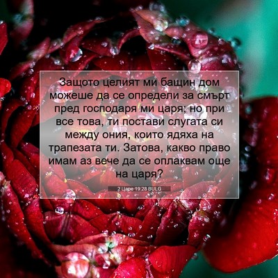Picture 07 - 2 Царе 19:28 BULG - Защото целият ми бащин дом - Bible Verse Picture
