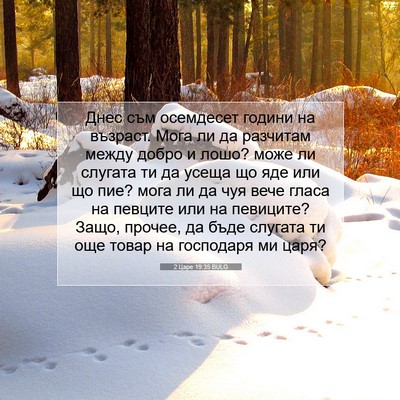 Picture 07 - 2 Царе 19:35 BULG - Днес съм осемдесет години - Bible Verse Picture