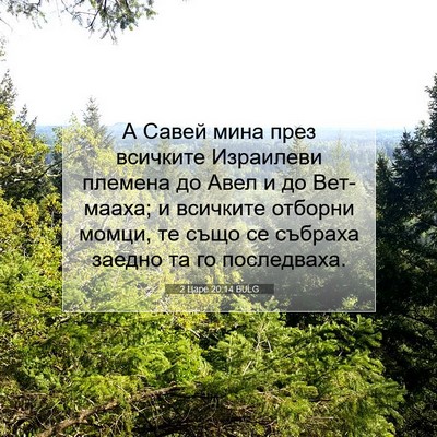Picture 07 - 2 Царе 20:14 BULG - А Савей мина през всичките - Bible Verse Picture