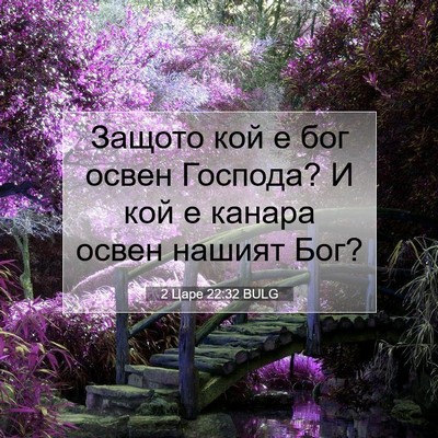 Picture 07 - 2 Царе 22:32 BULG - Защото кой е бог освен - Bible Verse Picture