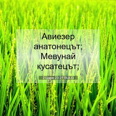 Picture 07 - 2 Царе 23:27 BULG - Авиезер анатонецът; - Bible Verse Picture