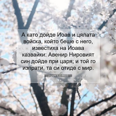 Picture 07 - 2 Царе 3:23 BULG - А като дойде Иоав и цялата - Bible Verse Picture