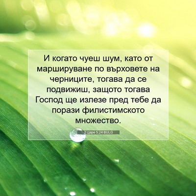 Picture 07 - 2 Царе 5:24 BULG - И когато чуеш шум, като от - Bible Verse Picture