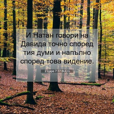 Picture 07 - 2 Царе 7:17 BULG - И Натан говори на Давида - Bible Verse Picture