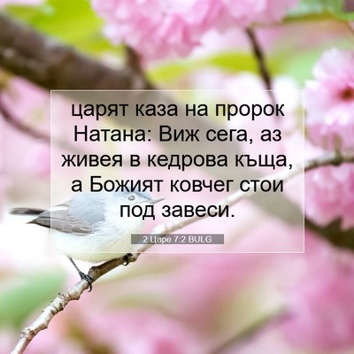 Picture 07 - 2 Царе 7:2 BULG - царят каза на пророк - Bible Verse Picture