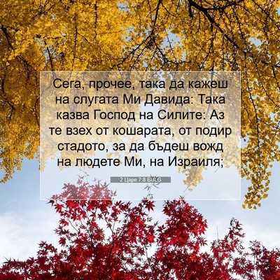 Picture 07 - 2 Царе 7:8 BULG - Сега, прочее, така да кажеш - Bible Verse Picture