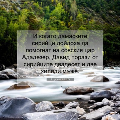 Picture 07 - 2 Царе 8:5 BULG - И когато дамаските сирийци - Bible Verse Picture