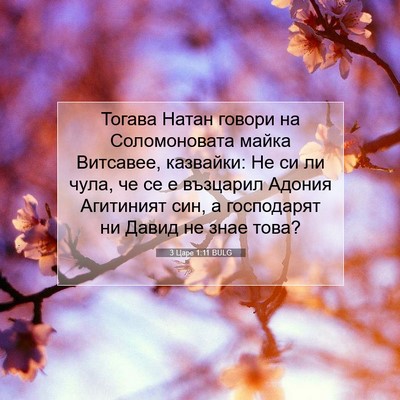 Picture 07 - 3 Царе 1:11 BULG - Тогава Натан говори на - Bible Verse Picture