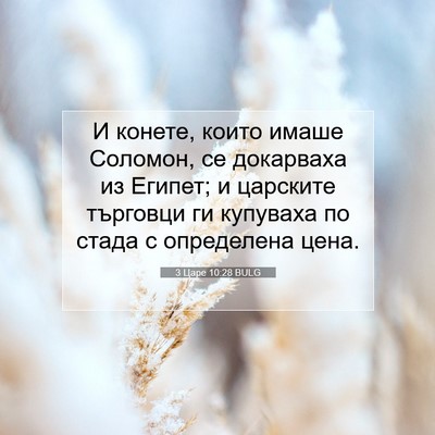 Picture 07 - 3 Царе 10:28 BULG - И конете, които имаше - Bible Verse Picture