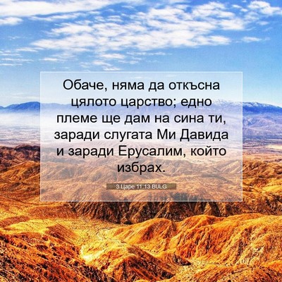 Picture 07 - 3 Царе 11:13 BULG - Обаче, няма да откъсна - Bible Verse Picture