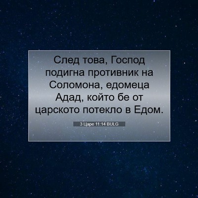Picture 07 - 3 Царе 11:14 BULG - След това, Господ подигна - Bible Verse Picture