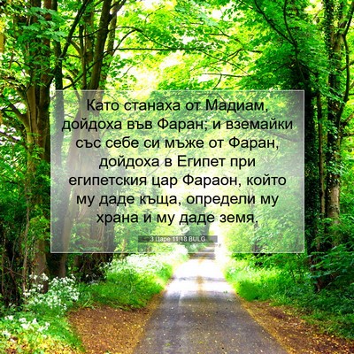 Picture 07 - 3 Царе 11:18 BULG - Като станаха от Мадиам, - Bible Verse Picture
