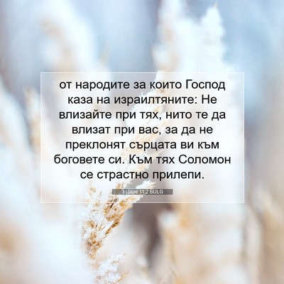 Picture 07 - 3 Царе 11:2 BULG - от народите за които - Bible Verse Picture