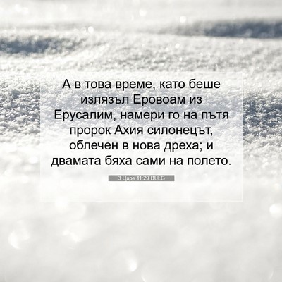 Picture 07 - 3 Царе 11:29 BULG - А в това време, като беше - Bible Verse Picture
