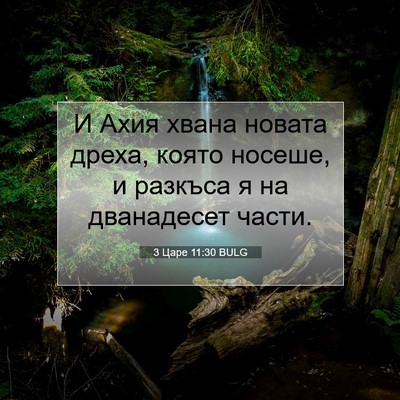 Picture 07 - 3 Царе 11:30 BULG - И Ахия хвана новата дреха, - Bible Verse Picture