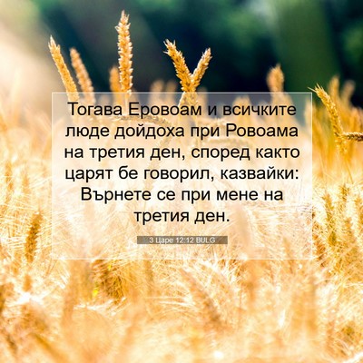 Picture 07 - 3 Царе 12:12 BULG - Тогава Еровоам и всичките - Bible Verse Picture