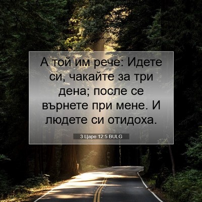 Picture 07 - 3 Царе 12:5 BULG - А той им рече: Идете си, - Bible Verse Picture