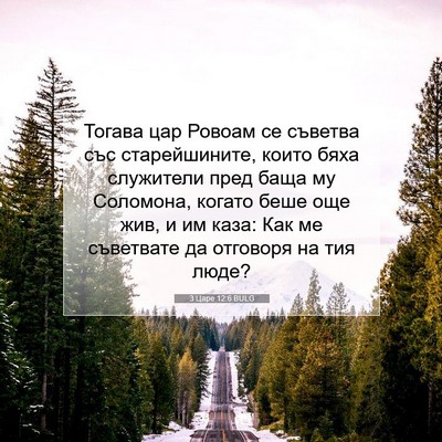 Picture 07 - 3 Царе 12:6 BULG - Тогава цар Ровоам се - Bible Verse Picture