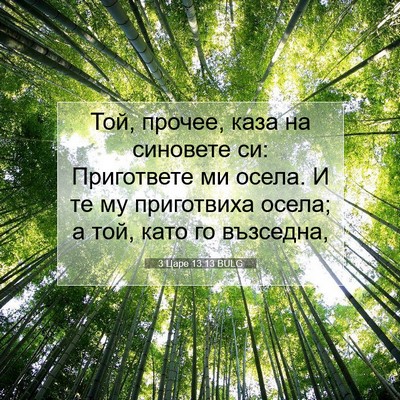 Picture 07 - 3 Царе 13:13 BULG - Той, прочее, каза на - Bible Verse Picture