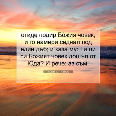 Picture 07 - 3 Царе 13:14 BULG - отиде подир Божия човек, и - Bible Verse Picture