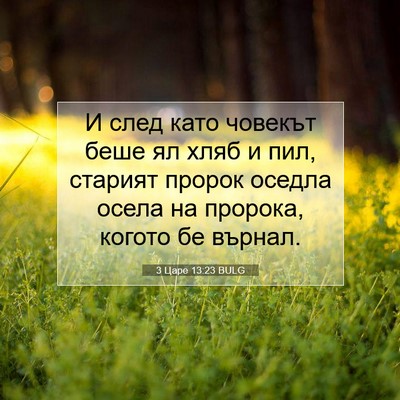 Picture 07 - 3 Царе 13:23 BULG - И след като човекът беше ял - Bible Verse Picture