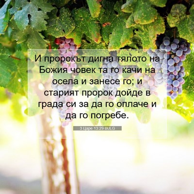 Picture 07 - 3 Царе 13:29 BULG - И пророкът дигна тялото на - Bible Verse Picture