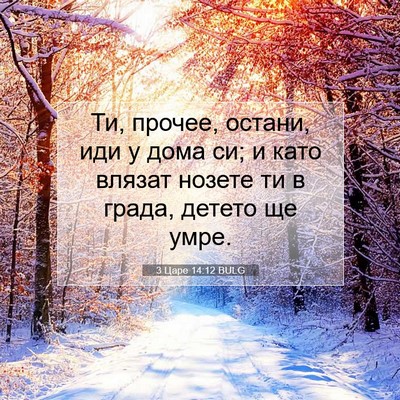 Picture 07 - 3 Царе 14:12 BULG - Ти, прочее, остани, иди у - Bible Verse Picture