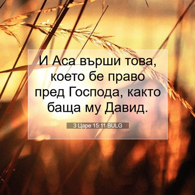 Picture 07 - 3 Царе 15:11 BULG - И Аса върши това, което бе - Bible Verse Picture