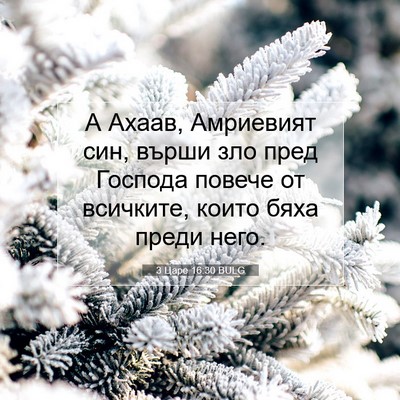 Picture 07 - 3 Царе 16:30 BULG - А Ахаав, Амриевият син, - Bible Verse Picture