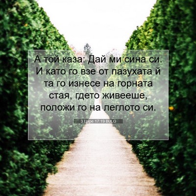 Picture 07 - 3 Царе 17:19 BULG - А той каза: Дай ми сина си. И - Bible Verse Picture