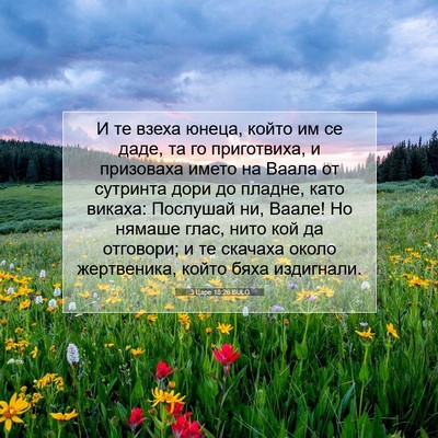 Picture 07 - 3 Царе 18:26 BULG - И те взеха юнеца, който им - Bible Verse Picture
