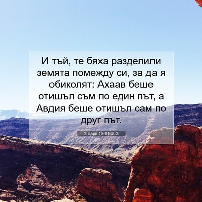 Picture 07 - 3 Царе 18:6 BULG - И тъй, те бяха разделили - Bible Verse Picture