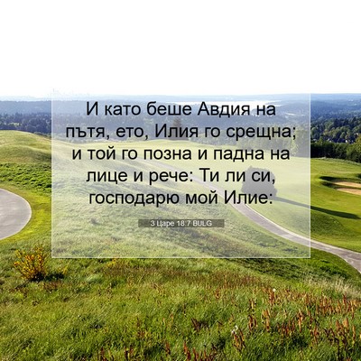Picture 07 - 3 Царе 18:7 BULG - И като беше Авдия на пътя, - Bible Verse Picture