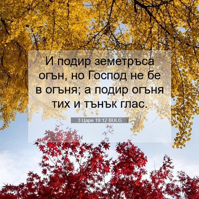 Picture 07 - 3 Царе 19:12 BULG - И подир земетръса огън, но - Bible Verse Picture