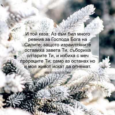 Picture 07 - 3 Царе 19:14 BULG - И той каза: Аз съм бил много - Bible Verse Picture