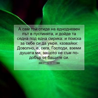 Picture 07 - 3 Царе 19:4 BULG - А сам той отиде на - Bible Verse Picture