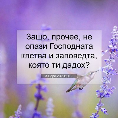 Picture 07 - 3 Царе 2:43 BULG - Защо, прочее, не опази - Bible Verse Picture