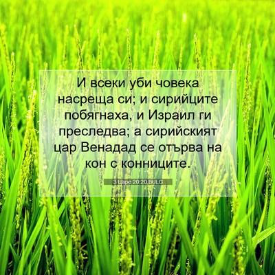 Picture 07 - 3 Царе 20:20 BULG - И всеки уби човека насреща - Bible Verse Picture