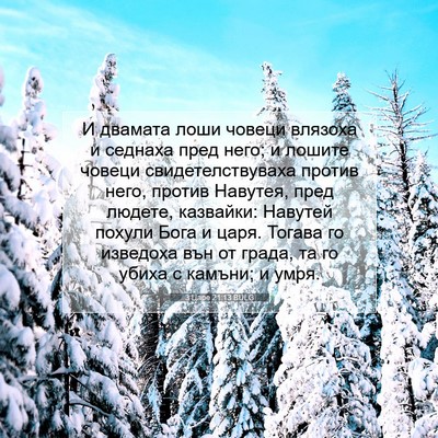 Picture 07 - 3 Царе 21:13 BULG - И двамата лоши човеци - Bible Verse Picture