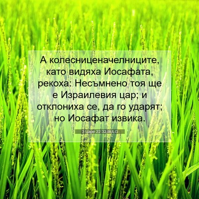 Picture 07 - 3 Царе 22:32 BULG - А колесниценачелниците, - Bible Verse Picture