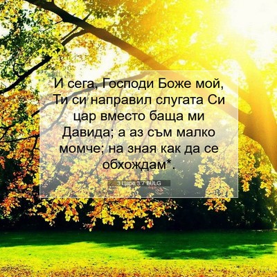 Picture 07 - 3 Царе 3:7 BULG - И сега, Господи Боже мой, Ти - Bible Verse Picture