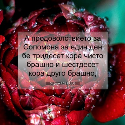 Picture 07 - 3 Царе 4:22 BULG - А продоволствието за - Bible Verse Picture