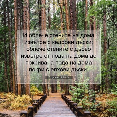 Picture 07 - 3 Царе 6:15 BULG - И облече стените на дома - Bible Verse Picture