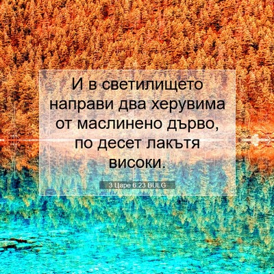 Picture 07 - 3 Царе 6:23 BULG - И в светилището направи - Bible Verse Picture