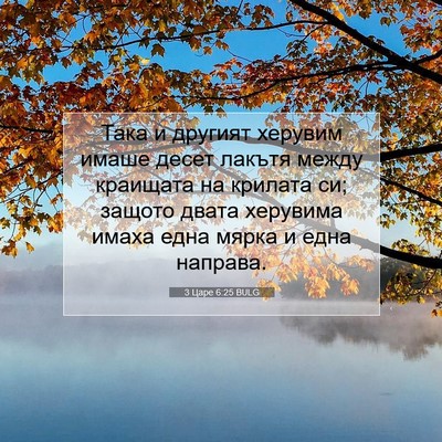 Picture 07 - 3 Царе 6:25 BULG - Така и другият херувим - Bible Verse Picture
