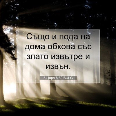 Picture 07 - 3 Царе 6:30 BULG - Също и пода на дома обкова - Bible Verse Picture